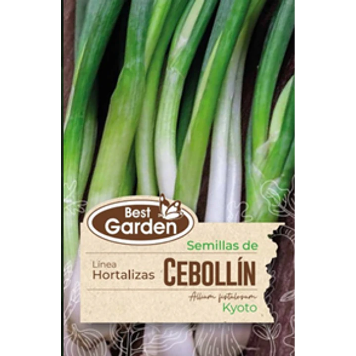 SEMILLA CEBOLLÍN KYOTO 1 GR / BEST GARDEN  2