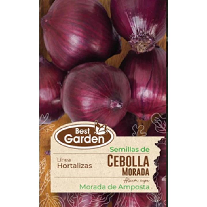 SEMILLA CEBOLLA MORADA 2 GRS/ BEST GARDEN  2