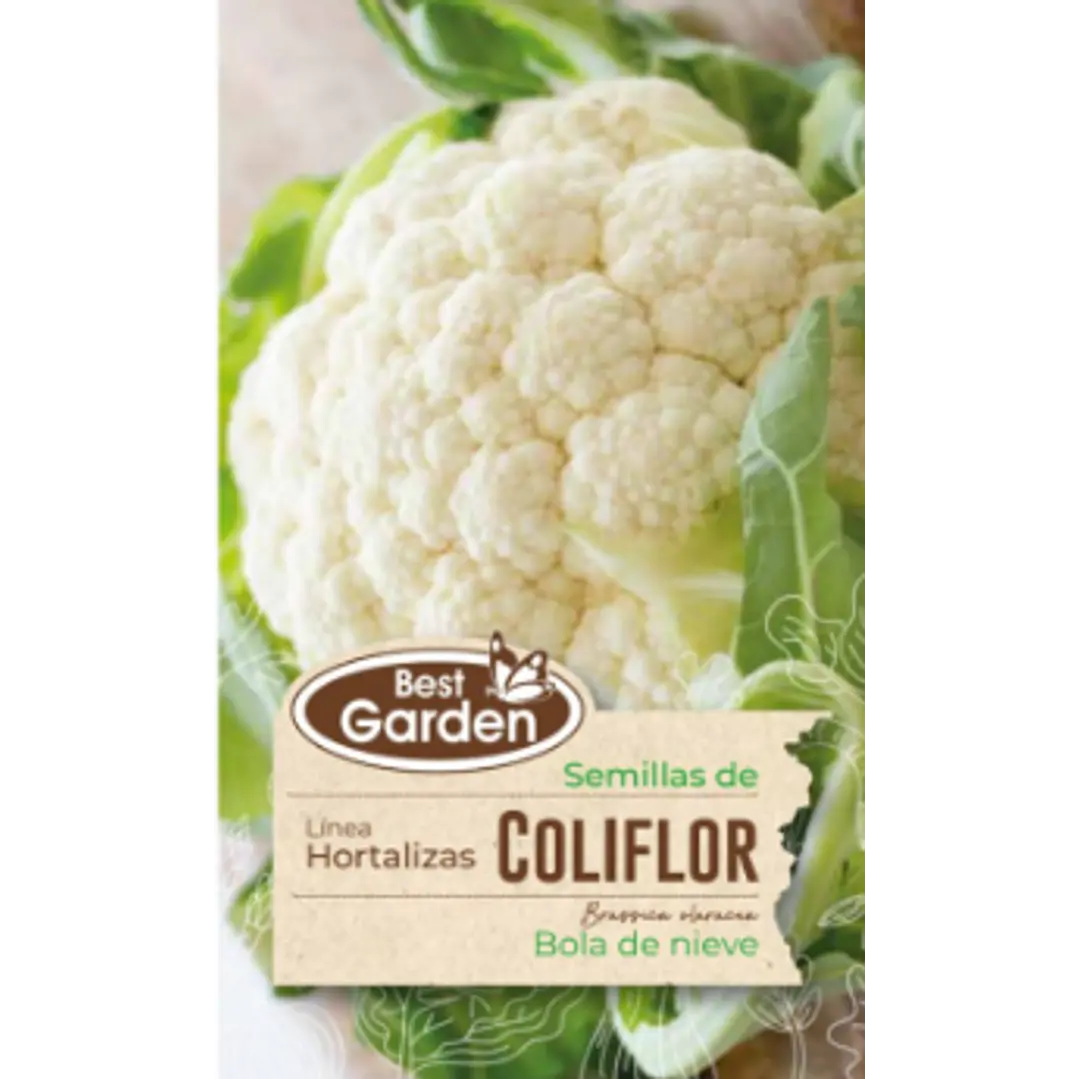 SEMILLA COLIFLOR 3 GRS / BEST GARDEN  2