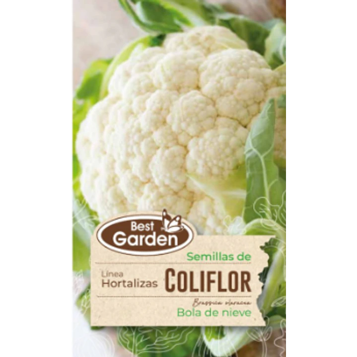 SEMILLA COLIFLOR 3 GRS / BEST GARDEN  2