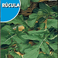 ROCALBA SEMILLA RÚCULA 6 GRS / BEST GARDEN  - Miniatura 2