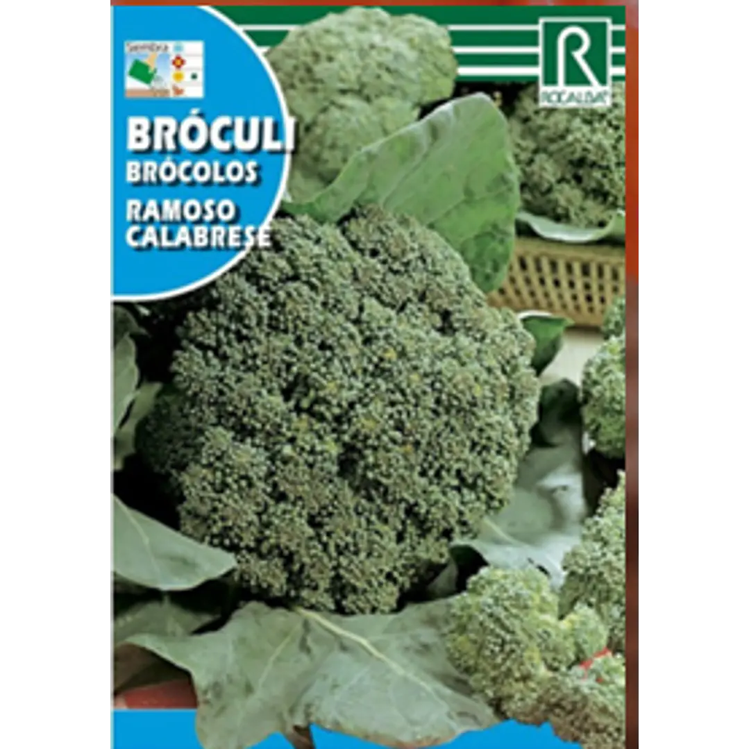 ROCALBA SEMILLA BRÓCOLI (RAMOSO CALABRESE) 2