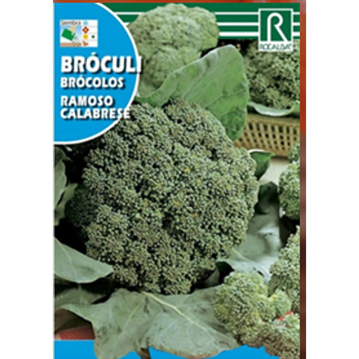 ROCALBA SEMILLA BRÓCOLI (RAMOSO CALABRESE) 2