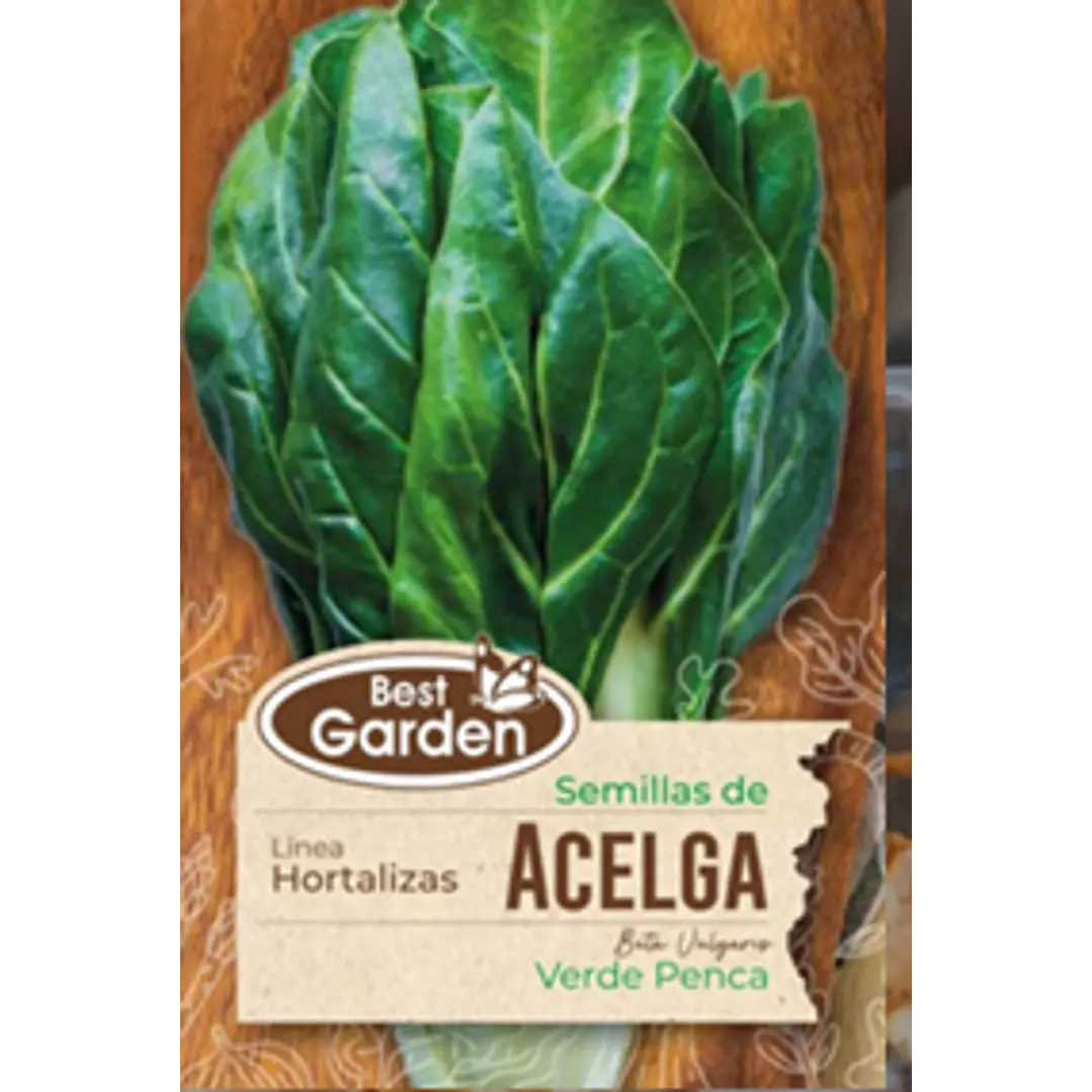 SEMILLA ACELGA 5 GRS / BEST GARDEN  2