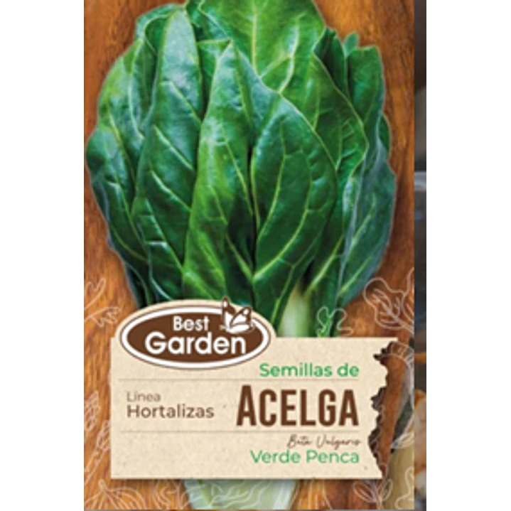 SEMILLA ACELGA 5 GRS / BEST GARDEN  2