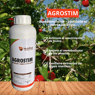 NUTRIFERT AGROSTIM   1L