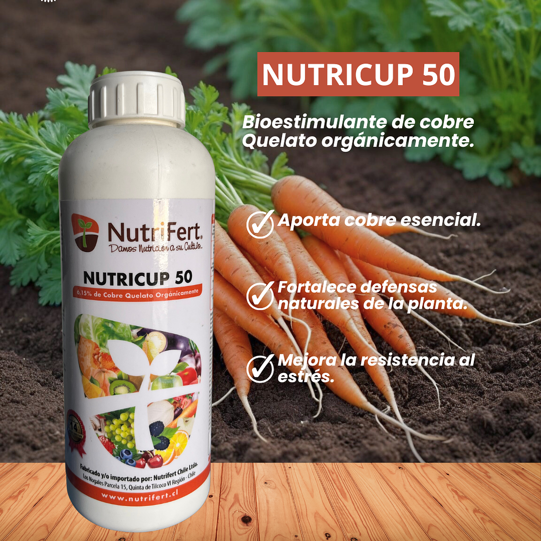 NUTRIFERT NUTRICUP 50 1LITRO 1
