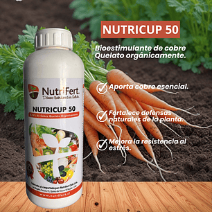 NUTRIFERT NUTRICUP 50 1LITRO