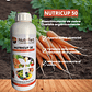 NUTRIFERT NUTRICUP 50 1LITRO - Miniatura 1