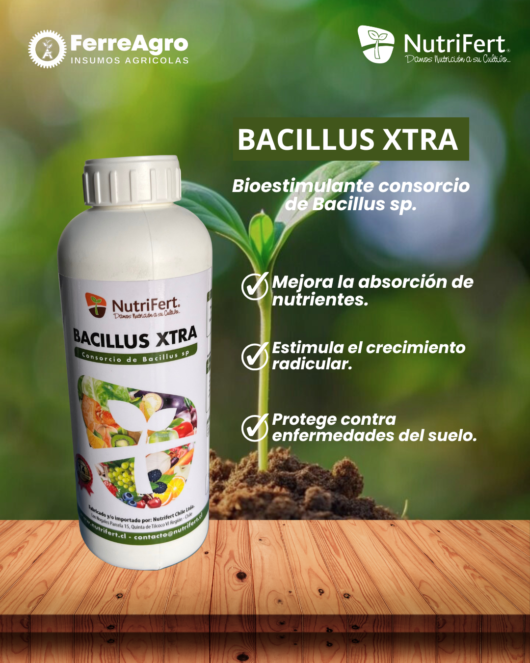 NUTRIFERT BACILLUS EXTRA 1L