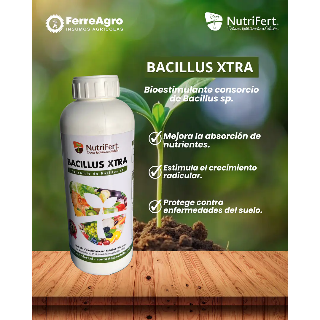 NUTRIFERT BACILLUS EXTRA 1L 1