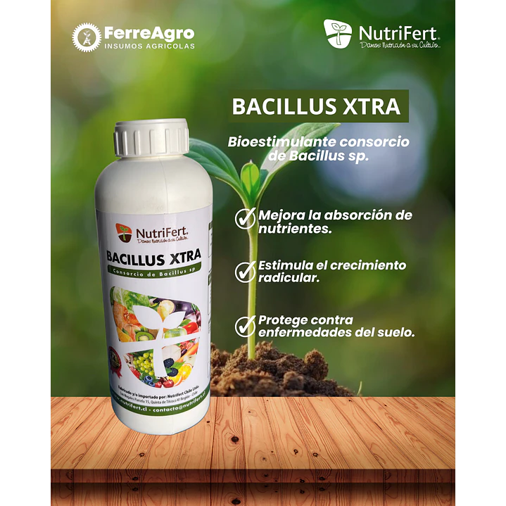 NUTRIFERT BACILLUS EXTRA 1L 1