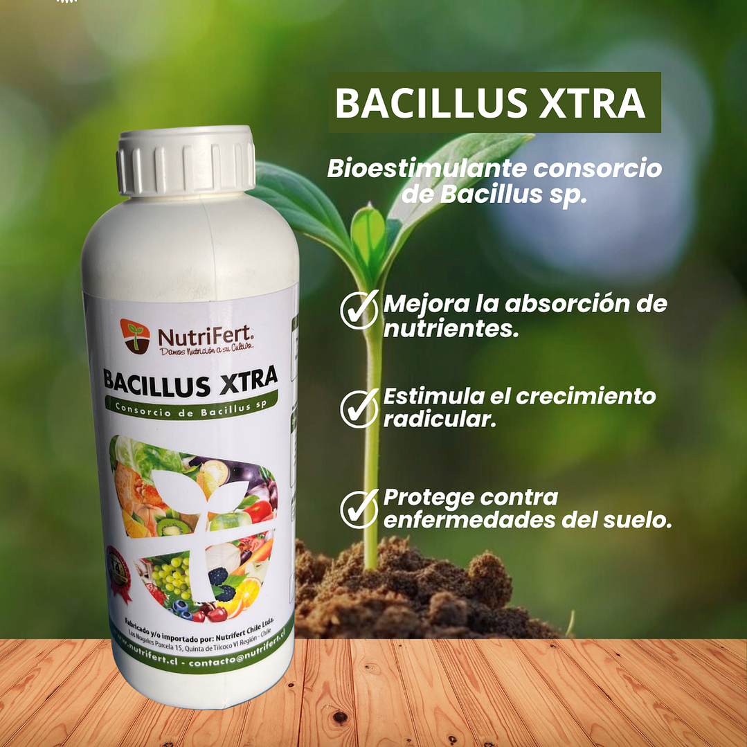 NUTRIFERT BACILLUS EXTRA 1 LITRO   1