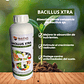 NUTRIFERT BACILLUS EXTRA 1 LITRO   - Miniatura 1