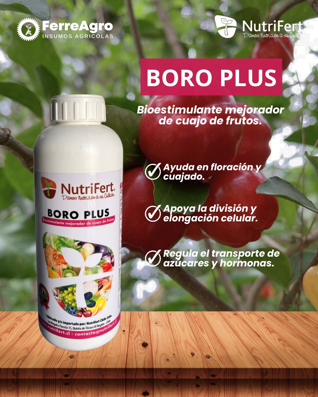 BIOESTIMULANTE BORO PLUS - CORRECTOR DE CARENCIAS NUTRICIONALES 1L - NUTRIFERT