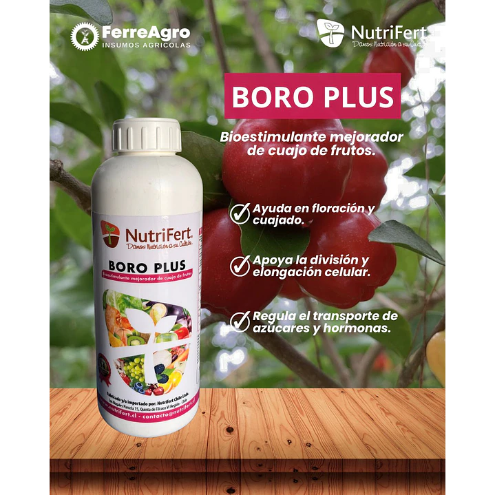 BIOESTIMULANTE BORO PLUS - CORRECTOR DE CARENCIAS NUTRICIONALES 1L  - NUTRIFERT 1