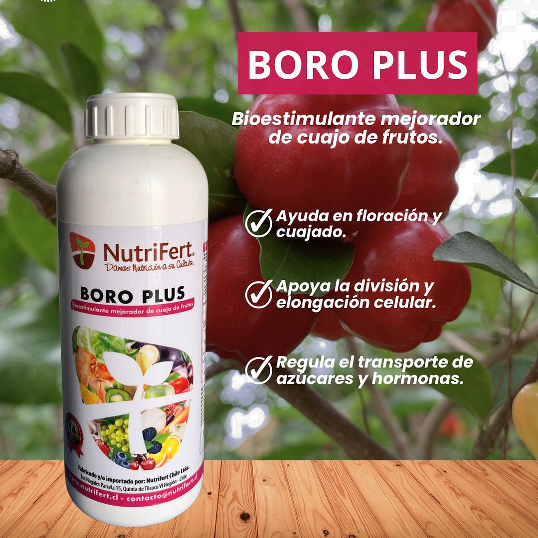 NUTRIFERT BORO PLUS  1L  1
