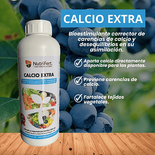 NUTRIFERT CALCIO EXTRA  1L