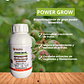  NUTRIFERT POWER GROW  500 CC  - Miniatura 1