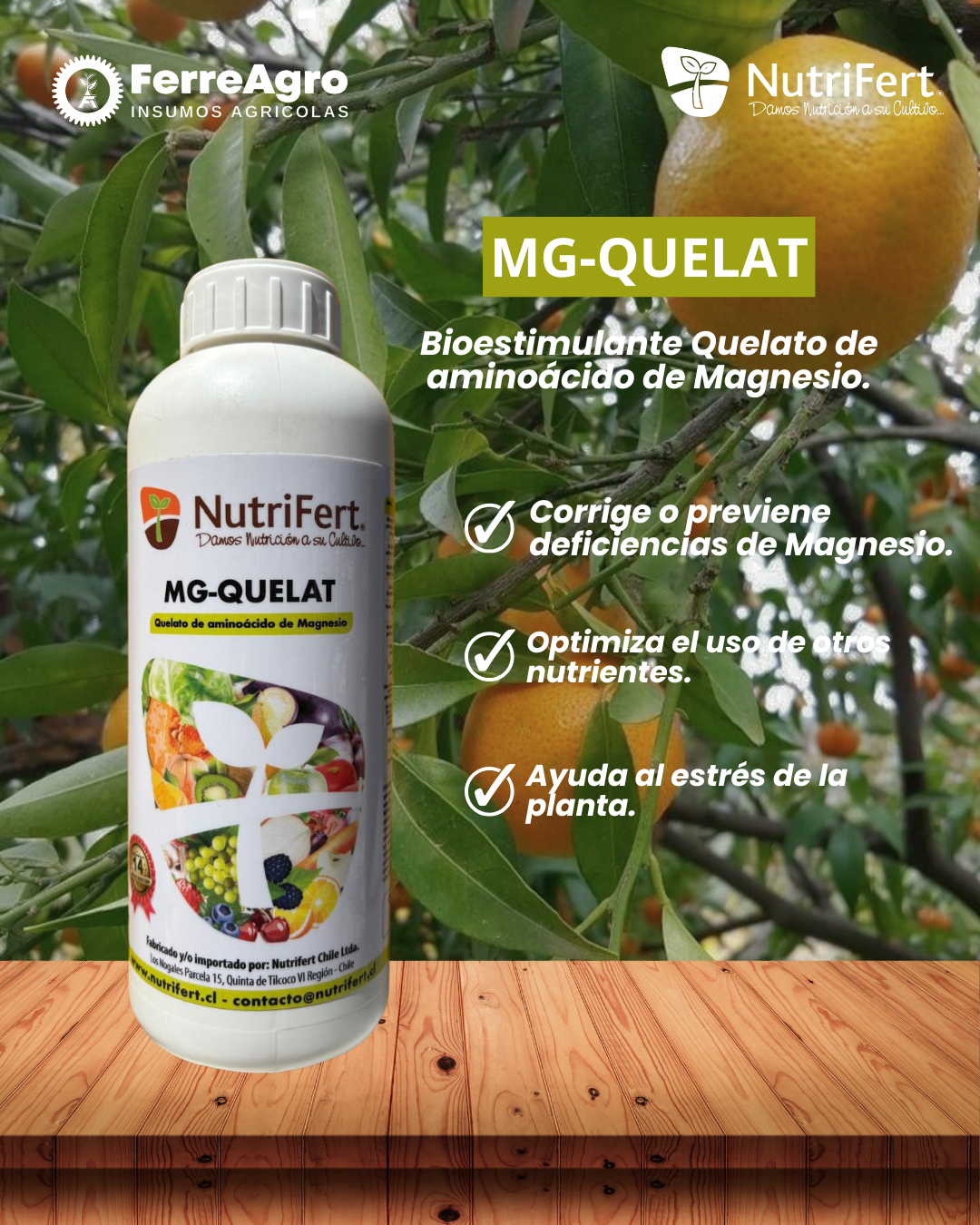BIOESTIMULANTE MG-QUELAT / MAGNESIO QUELATADO 1L - NUTRIFERT