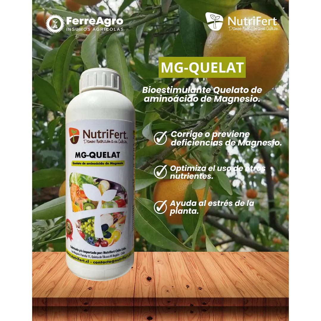 BIOESTIMULANTE MG-QUELAT / MAGNESIO QUELATADO 1L - NUTRIFERT 1