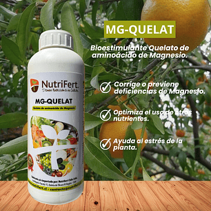 NUTRIFERT MG-QUELAT 1L