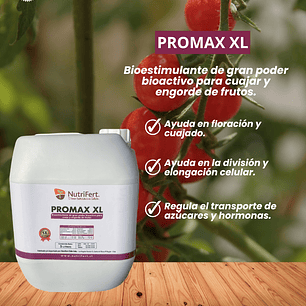 PROMAX XL  5 LITROS 