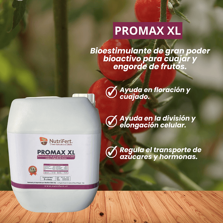 PROMAX XL  5 LITROS  1