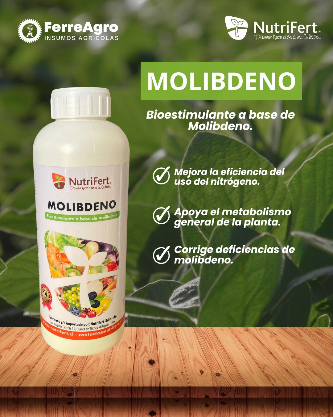 NUTRIFERT MOLIBDENO 1 LITRO