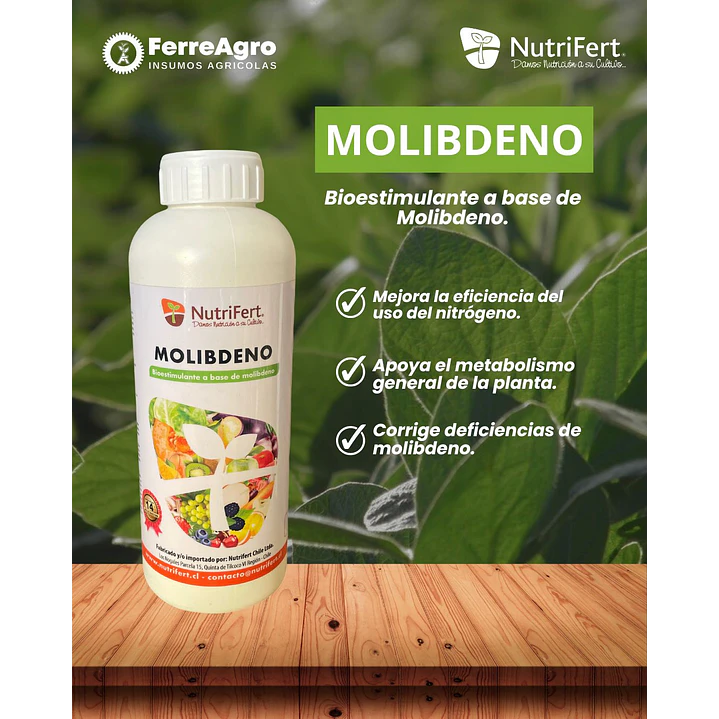 NUTRIFERT MOLIBDENO  1 LITRO  1