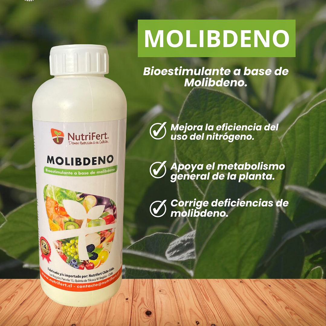 NUTRIFERT MOLIBDENO  1 LITRO  1