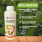 NUTRIFERT MOLIBDENO  1 LITRO  - Miniatura 1