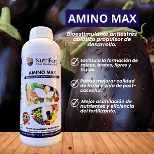 NUTRIFERT AMINO  1 Litro 