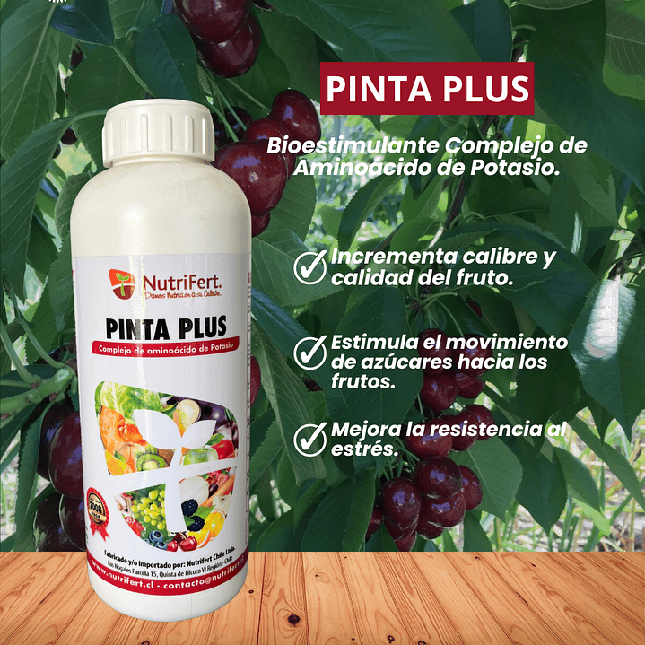 NUTRIFERT PINTA PLUS 1L  1