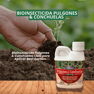CONTROL NATURAL PULGÓN Y CONCHUELA 150CC/ BEST GARDEN 