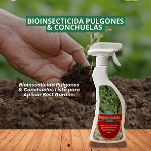 CONTROL NATURAL PULGAS - CONCHUELAS 450 CC LP/A 