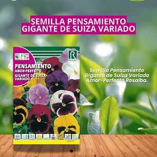 ROCALBA SEMILLA PENSAMIENTO COLOR VARIADO/ BEST GARDEN