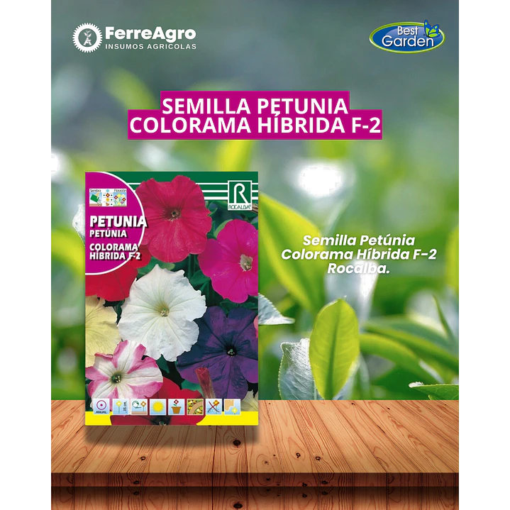 SEMILLA PETUNIA COLORAMA / BEST GARDEN  1