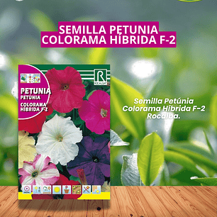 SEMILLA PETUNIA COLORAMA /BEST GARDEN 