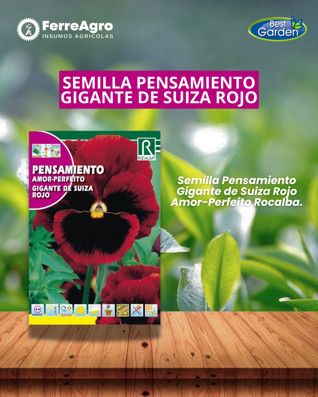 ROCALBA SEMILLA PENSAMIENTO ROJO