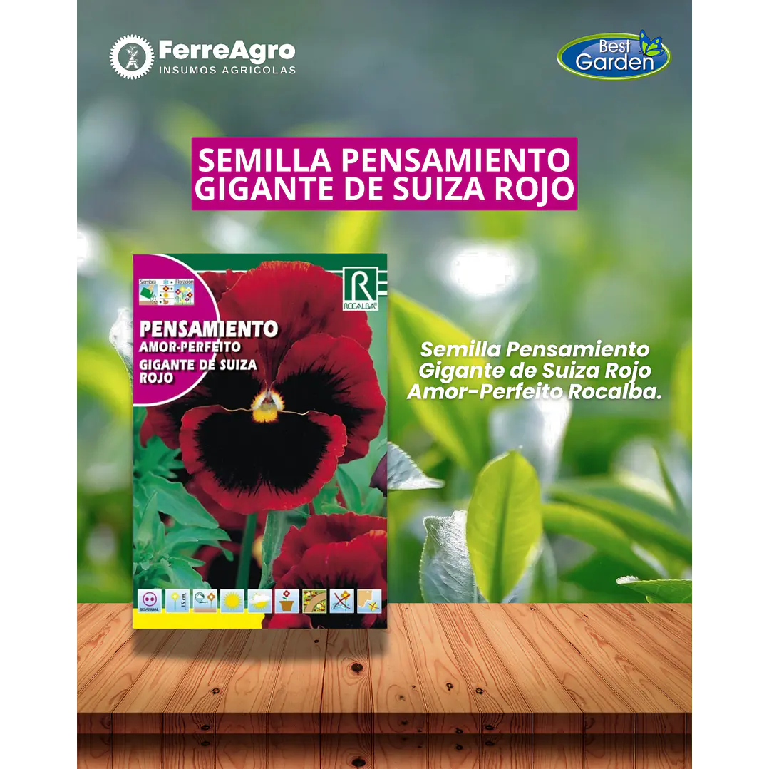 ROCALBA SEMILLA PENSAMIENTO ROJO 1