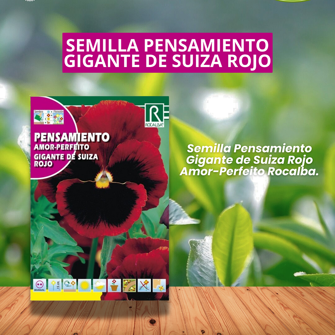 ROCALBA SEMILLA PENSAMIENTO ROJO/BEST GARDEN  1