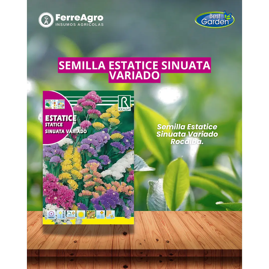 ROCALBA SEMILLA ESTATICE SINUATA VARIADO 1
