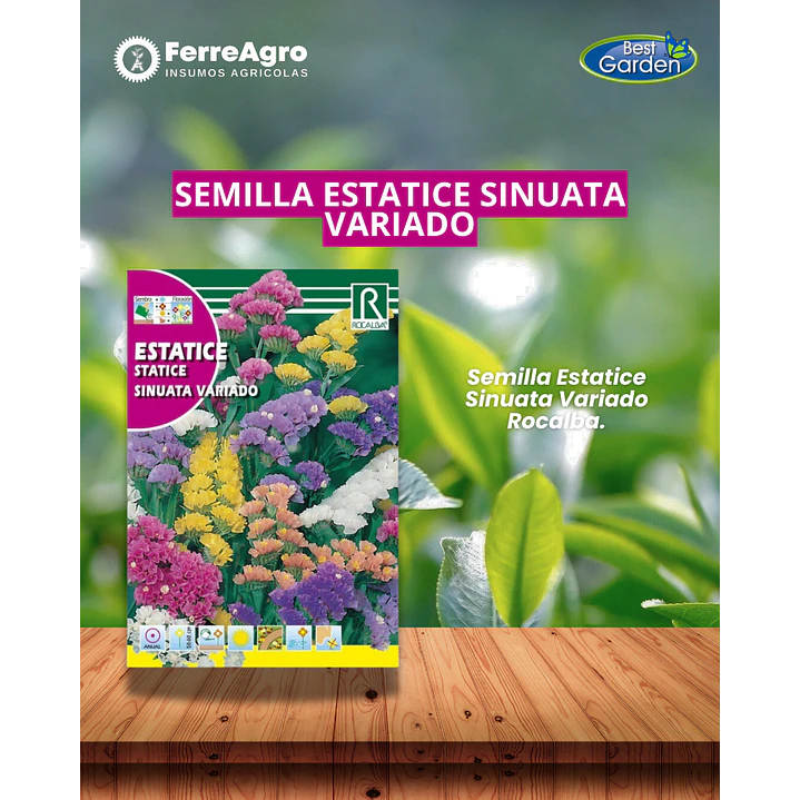 ROCALBA SEMILLA ESTATICE SINUATA VARIADO 1