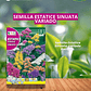 ROCALBA SEMILLA ESTATICE SINUATA VARIADO 1 GRAMO/BEST GARDEN  - Miniatura 1