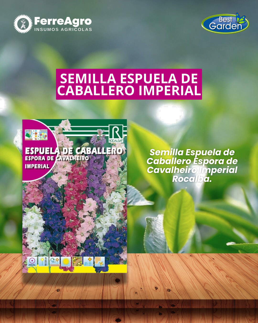 ROCALBA SEMILLA ESPUELA DEL CABALLERO