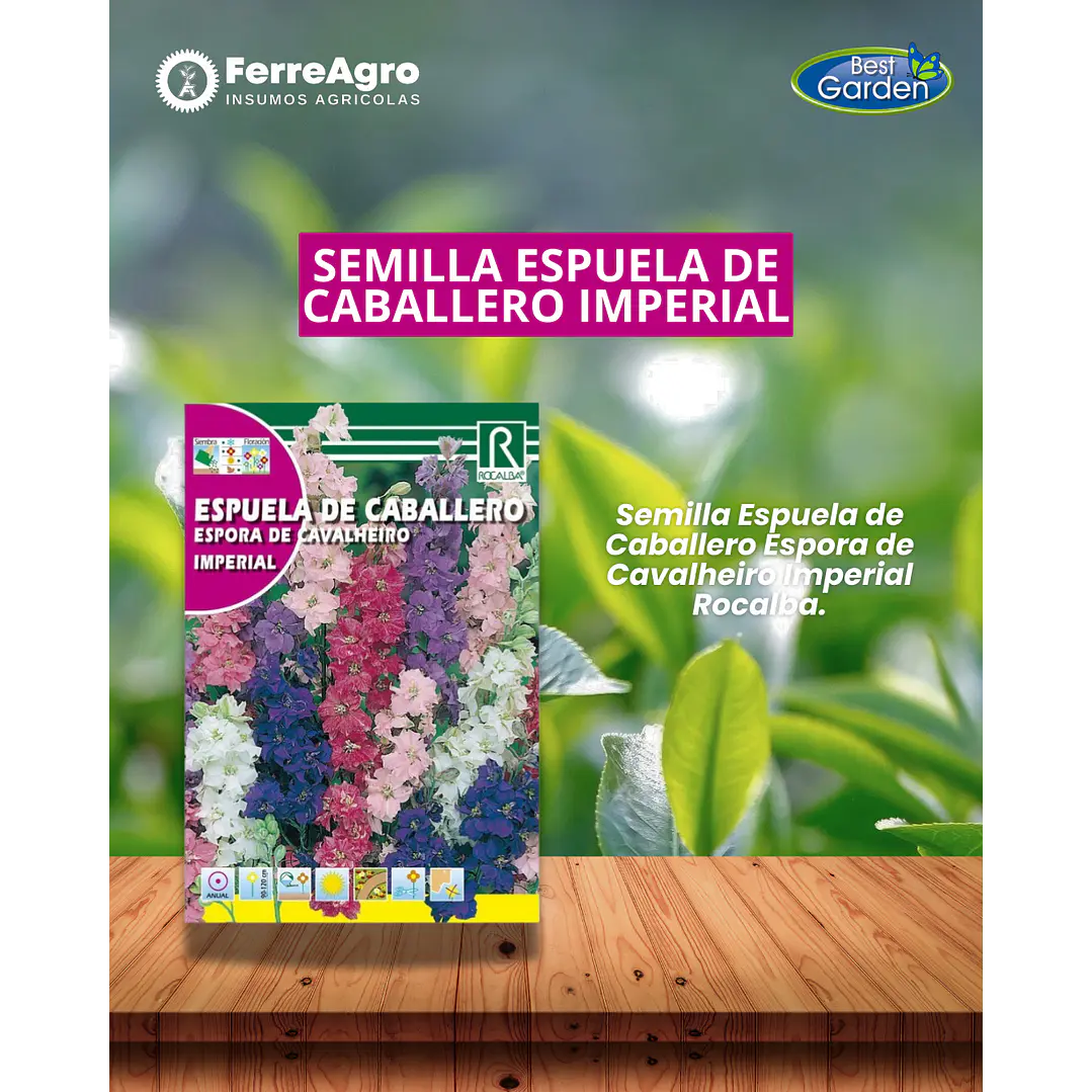 ROCALBA SEMILLA ESPUELA DEL CABALLERO 1