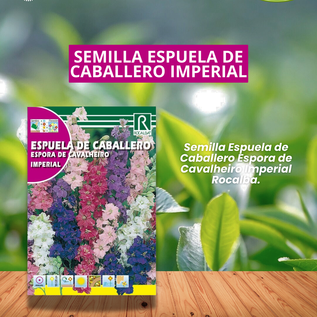 ROCALBA SEMILLA ESPUELA DEL CABALLERO  4 GRAMOS / BEST GARDEN  1