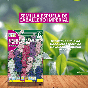 ROCALBA SEMILLA ESPUELA DEL CABALLERO  4 GRAMOS / BEST GARDEN 