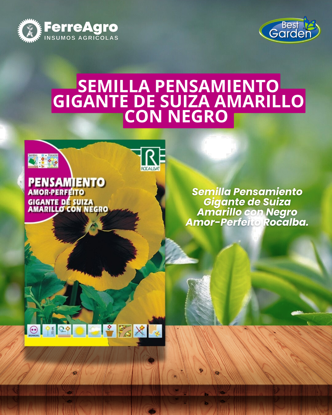 ROCALBA SEMILLA PENSAMIENTO AMARILLO